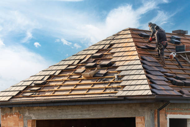 Professional Roofing service in Potomac Park, CA